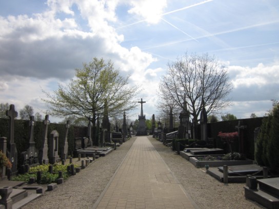  (vergroot foto)