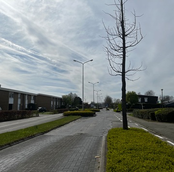 Project Strijderslaan